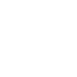 bis icon new