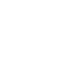 ce icon